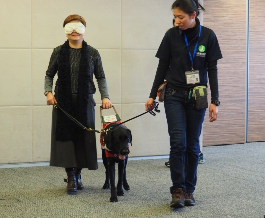 香港導盲犬服務中心代表到訪平機會的照片